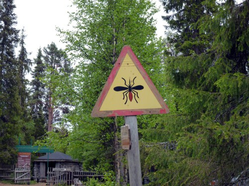 Mückenalarm