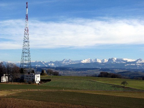 IMG_0463 Große Webansicht