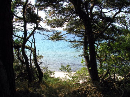 IMG_1049 Große Webansicht